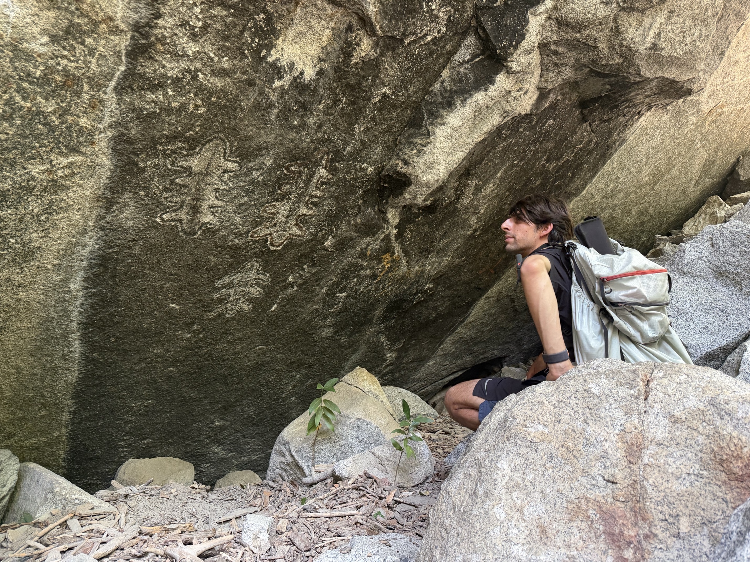 Petroglyphs at painted rock