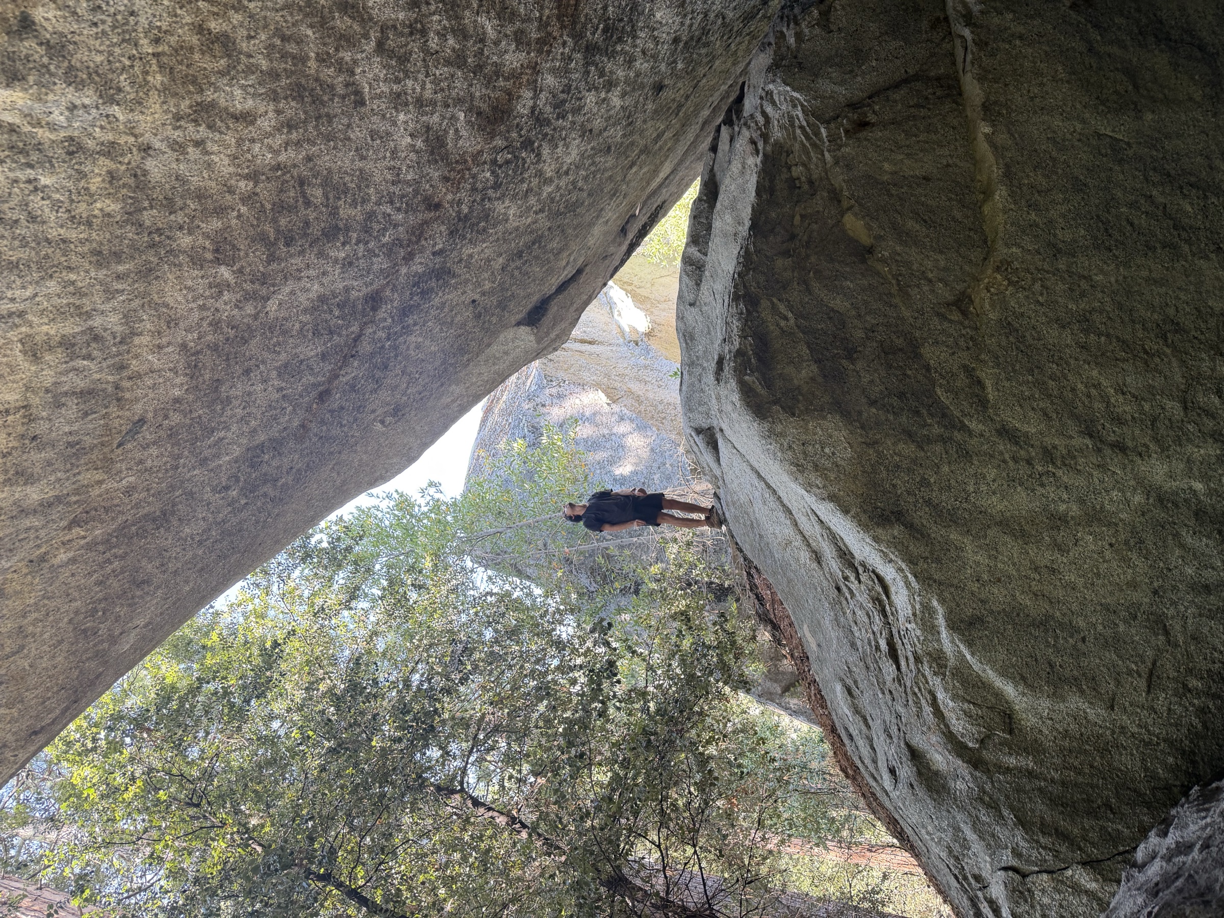 Petroglyphs at painted rock